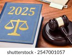 Law book with a gavel - 2025