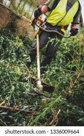 Law Mower Man Trimming Grass In The City