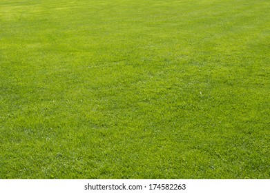 lawn