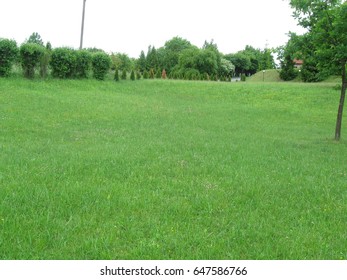 Lawn
