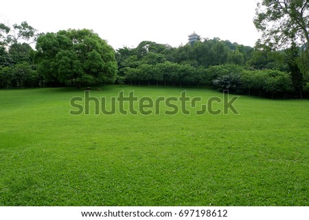 lawn