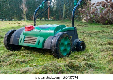 Lawn Aerator Removing Moss From Garden.