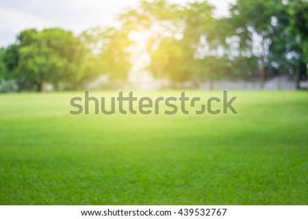 Lawn blur with soft light for background