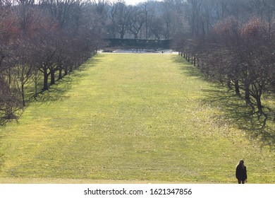 Lawn At The Brooklyn Botanic Garden With Lines With Evergreen Trees Located In Brooklyn NY On A Sunny Winter Day January 20 2020