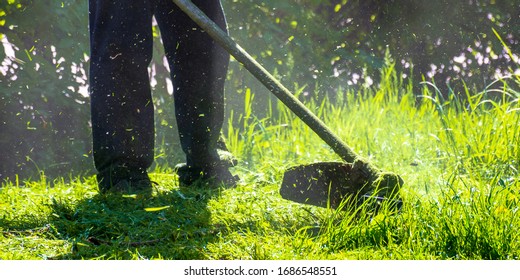 Lawn Care Maintenance. Professional Grass Cutting In The Yard