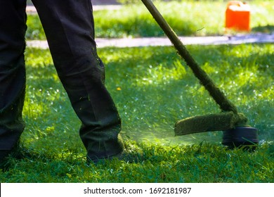 Lawn Care Maintenance. Professional Grass Cutting In The Yard