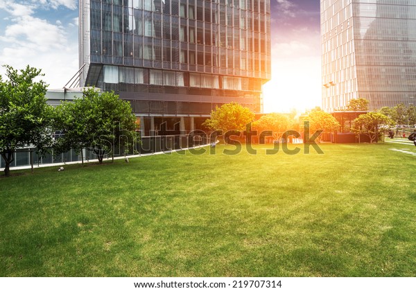 The lawn in the city of\
shanghai