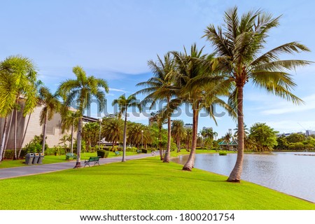 Lawn, coconut trees in the park