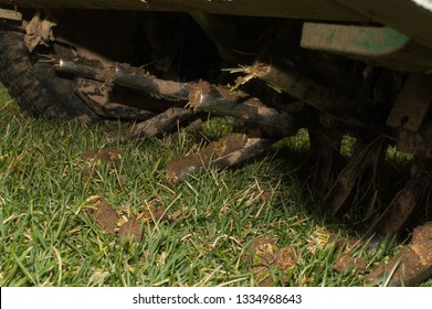 Lawn Core Aeration On Tall Fescue Grass 