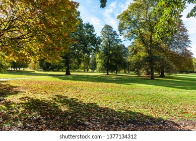 Lawn Covered In Fallen Leaves In A Public Park On A Sunny Autumn Day. Greenwich Park, London, UK.