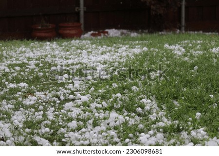 Lawn covered in hailstones after a hailstorm in North Texas, Hail covers a lawn in Plano, Texas
