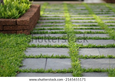 Lawn with curved paved garden path. Stone pavement, cement walkway, brick, stone slabs for garden architecture pathway, gravel. Simple paths with grass field. Yard landscape design, Grass field