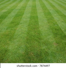 Lawn Cut With Stripes