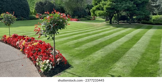 Lawn cut in stripes with flowerbeds