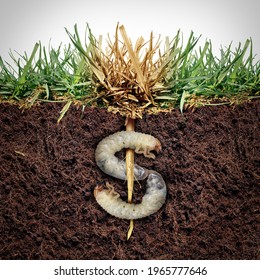 Lawn Damage Cost And Grub Damaging A Garden As Chinch Larva Damaging Grass Roots Causing An Expensive Brown Patch Disease In The Turf As A Pesticide Business Composite Image Shaped Like A Money Sign.