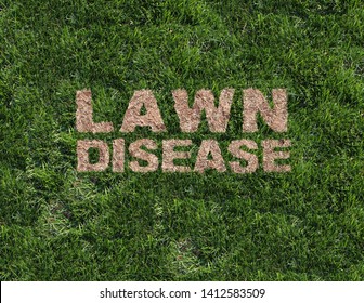 Lawn Disease As Grub Damage As Chinch Larva Damaging Grass Roots Causing A Brown Patch And Drought Area In The Turf As A Composite Image.