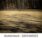 lawn, field or park area covered with biodegradable erosion control blanket or mat. to stabilize soil and promote vegetation growth. land management background design element