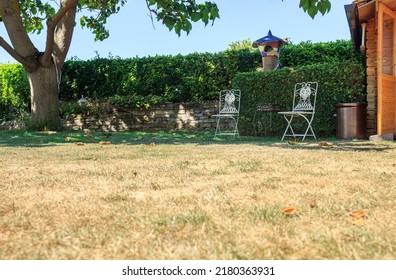 lawn in garden dry and dead. Pests and disease and sun cause amount of damage to green lawns. Landscaped Formal Garden. patchy grass in bad condition and need maintaining.  - Shutterstock ID 2180363931