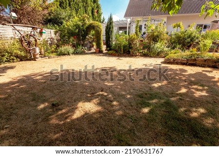 lawn in garden dry and dead. Pests and disease and sun cause amount of damage to green lawns. Landscaped Formal Garden. patchy grass in bad condition and need maintaining. 