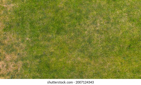 Lawn Grass Texture Background. Top View From Drone.