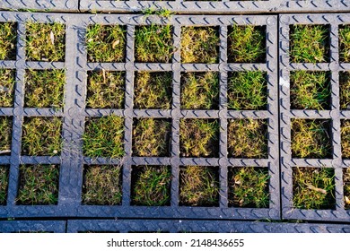 Lawn grates. cellular products made of concrete or polymeric materials for parking lots, pedestrian paths, recreation areas, lawn, strengthening of soil, leveling of site, from accumulation of water.