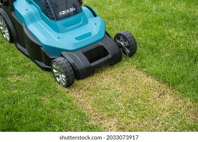 Lawn Mover Machine Cut Green Grass, Hobby Planting Home Garden.