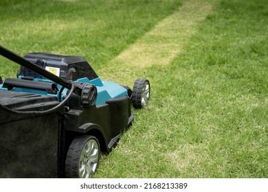 Lawn Mover Machine Cut Green Grass, Hobby Planting Home Garden.