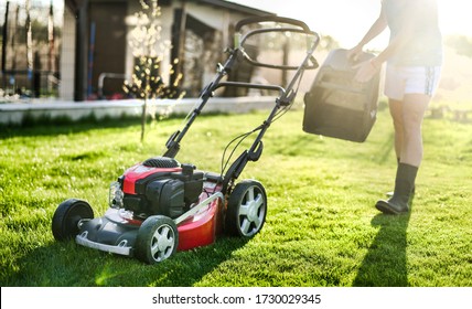 Lawn mover on green grass in modern garden. Machine for cutting lawns. - Shutterstock ID 1730029345