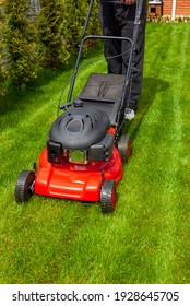 Lawn mover on green grass in sunny day.