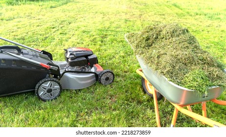 Lawn Mover On Green Grass In Modern Garden. Machine For Cutting Lawns.