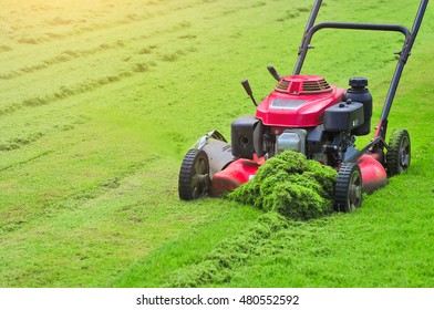mowing service