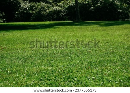 A lawn mowed by a robotic lawnmower in a public park. Texture of lush green grass. Green freshly mowed lawn.