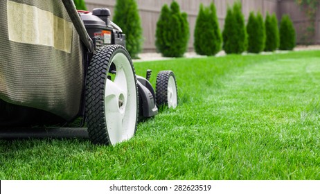 Lawn mower - Shutterstock ID 282623519