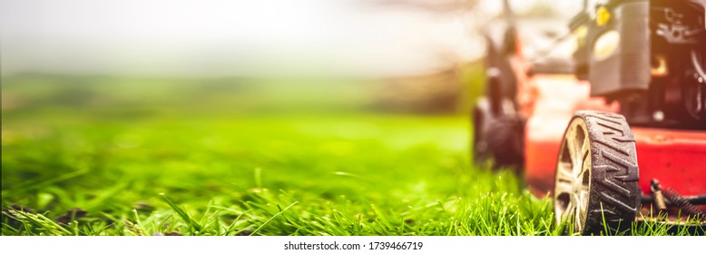 Lawn mower cut grass. Garden work. Electric Rotary lawn mower machine - Shutterstock ID 1739466719