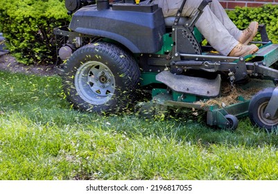 115,103 Evergreen grass Images, Stock Photos & Vectors | Shutterstock