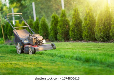 28,177 Grass cutting lawn mower Images, Stock Photos & Vectors ...