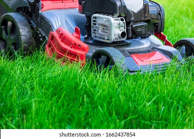 Lawn mower cutting green grass in backyard - Shutterstock ID 1662437854