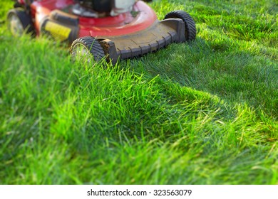 Lawn Mower Cutting Green Grass. Work In The Garden.