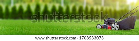 Lawn mower cutting green grass in backyard, mowing lawn, green thuja trees on background with copy space