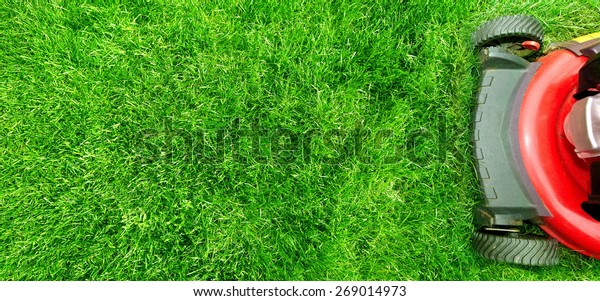 Lawn mower cutting green grass in\
backyard.Gardening\
background.