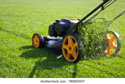 Lawn mower mower, grass, equipment, mowing, gardener, care, work, tool, 