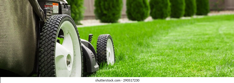 Lawn mower on green grass