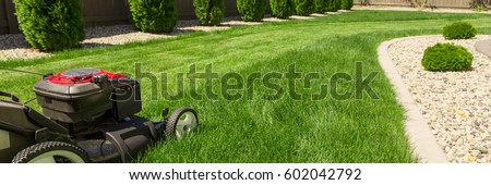 Lawn mower on green grass 