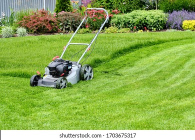 A lawn mower on a lush green lawn surrounded by flowers. The back yard of the house. - Shutterstock ID 1703675317