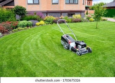 A lawn mower on a lush green lawn surrounded by flowers. The back yard of the house.