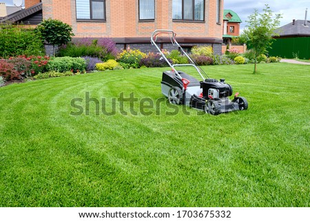 A lawn mower on a lush green lawn surrounded by flowers. The back yard of the house.