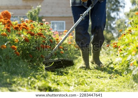 lawn mower with lawn trimmer. High quality photo