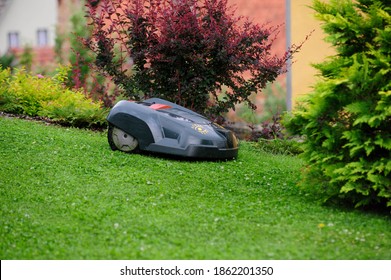 A Lawn Mowing Robot Mowing The Lawn In The Garden