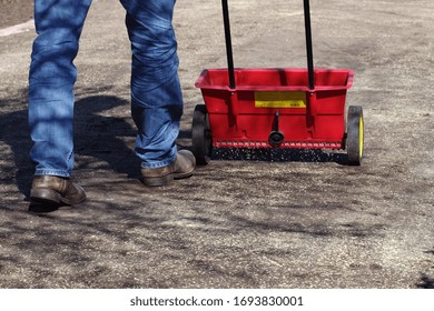 Lawn New Sowing With The Help Of A Spreader