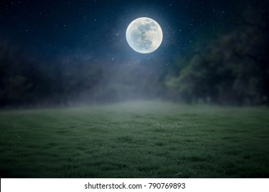 The lawn in the night with a full moon is not beautiful.